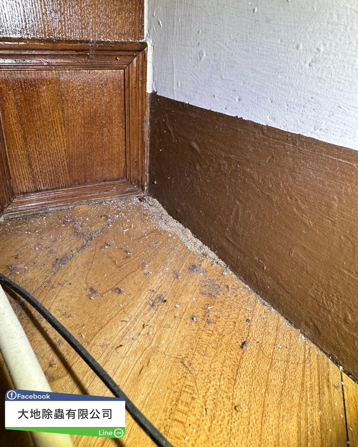 白蟻防治－除白蟻｜高雄鳳山民宅白蟻