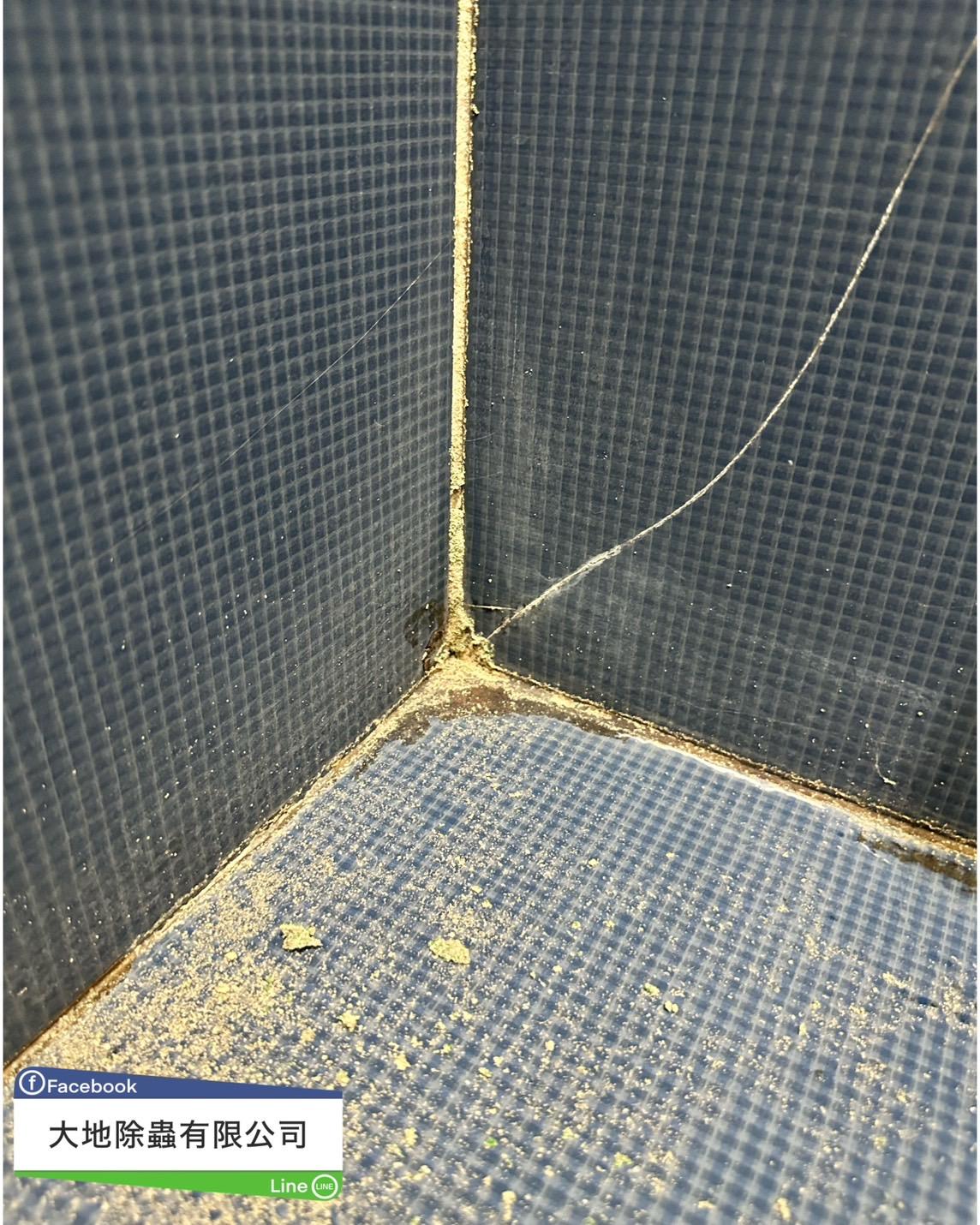 白蟻防治－除白蟻｜浴室磁磚白蟻