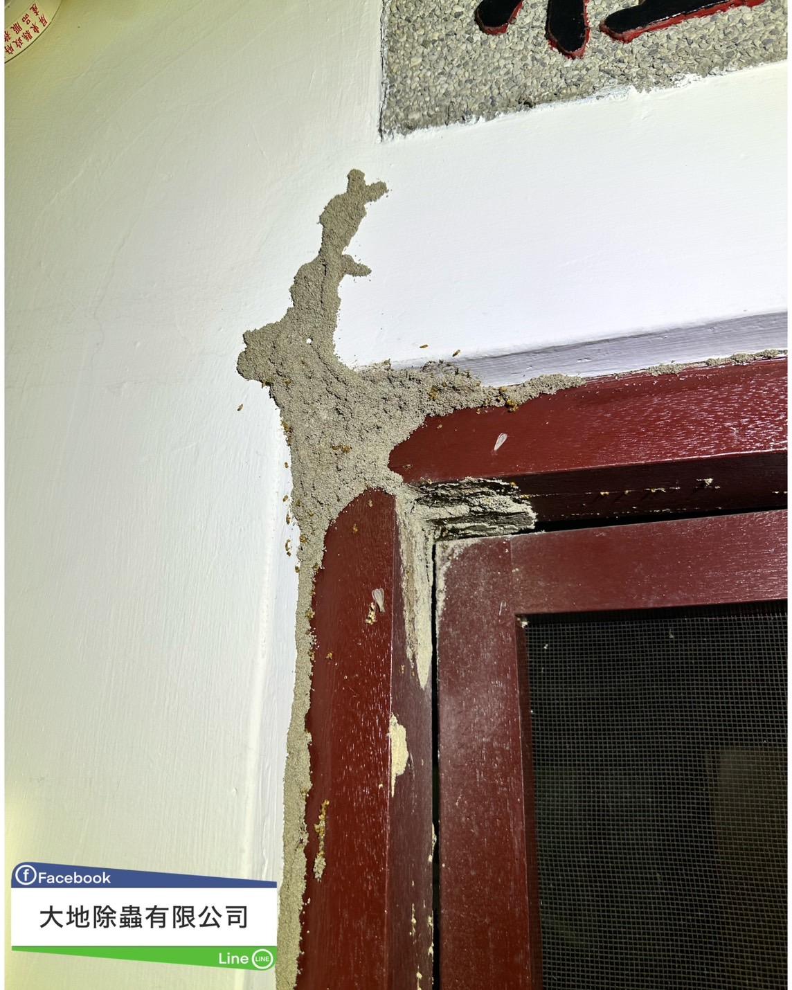 白蟻防治－除白蟻｜老宅白蟻防治