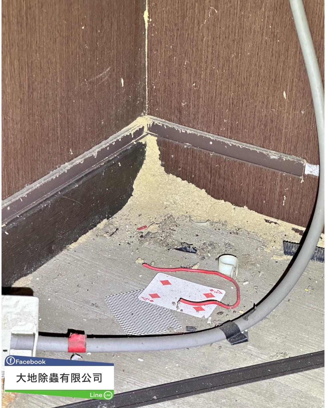 白蟻防治－除白蟻｜倉庫隔間白蟻