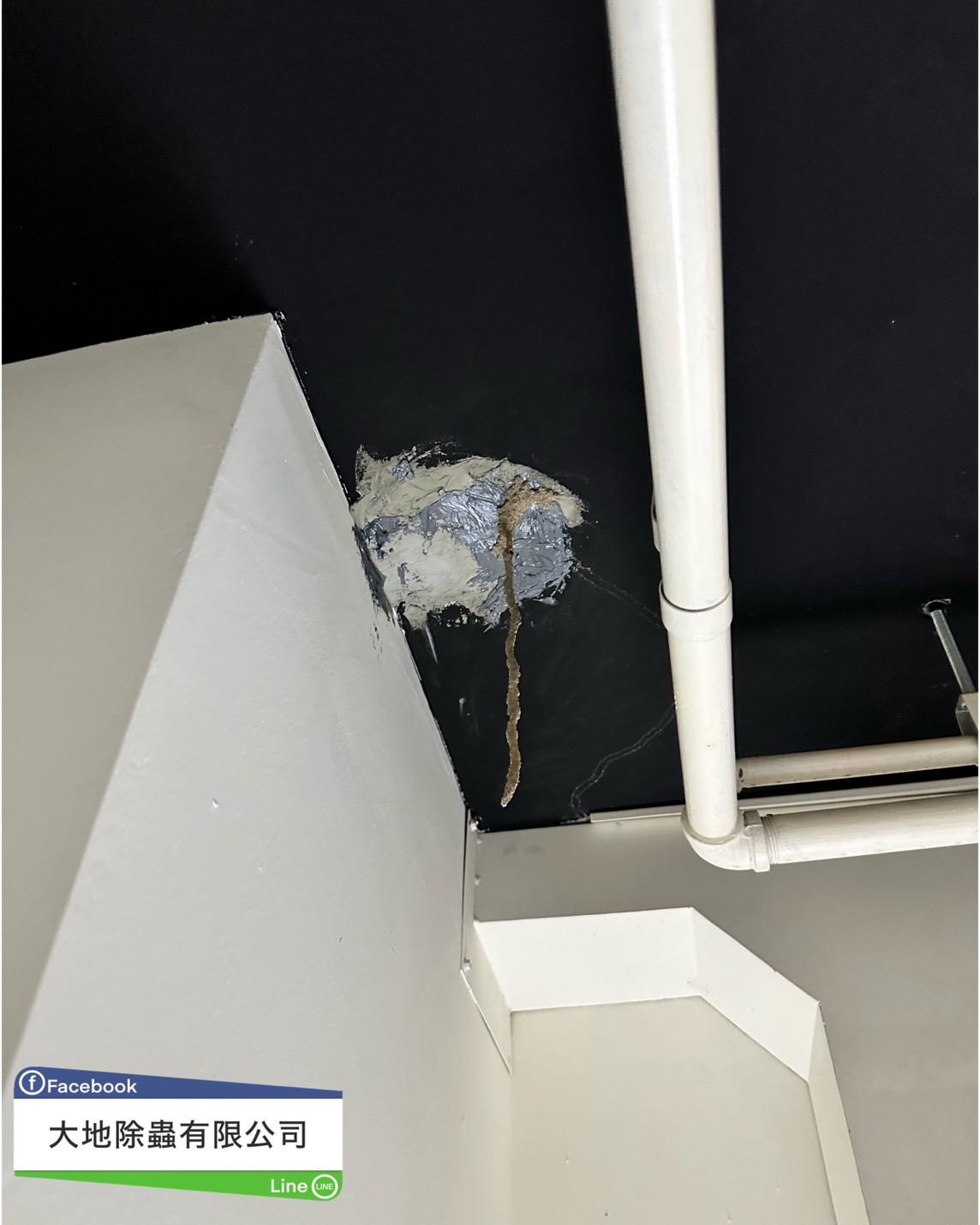 白蟻防治－除白蟻｜通風管白蟻蟻道