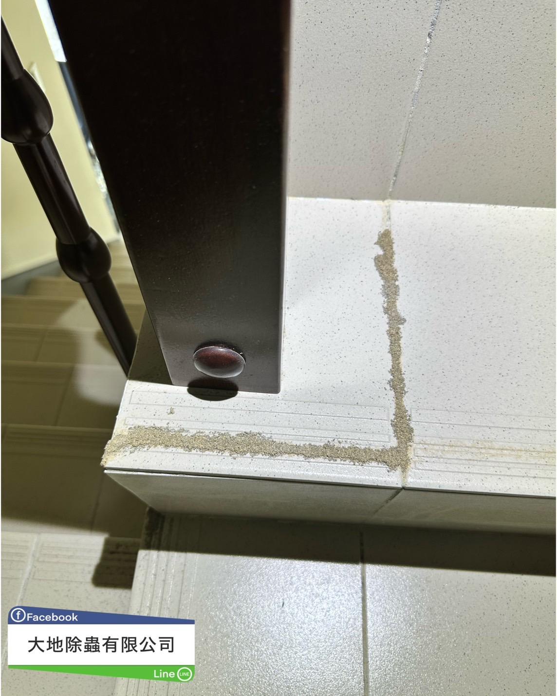 白蟻防治－除白蟻｜樓梯磁磚白蟻