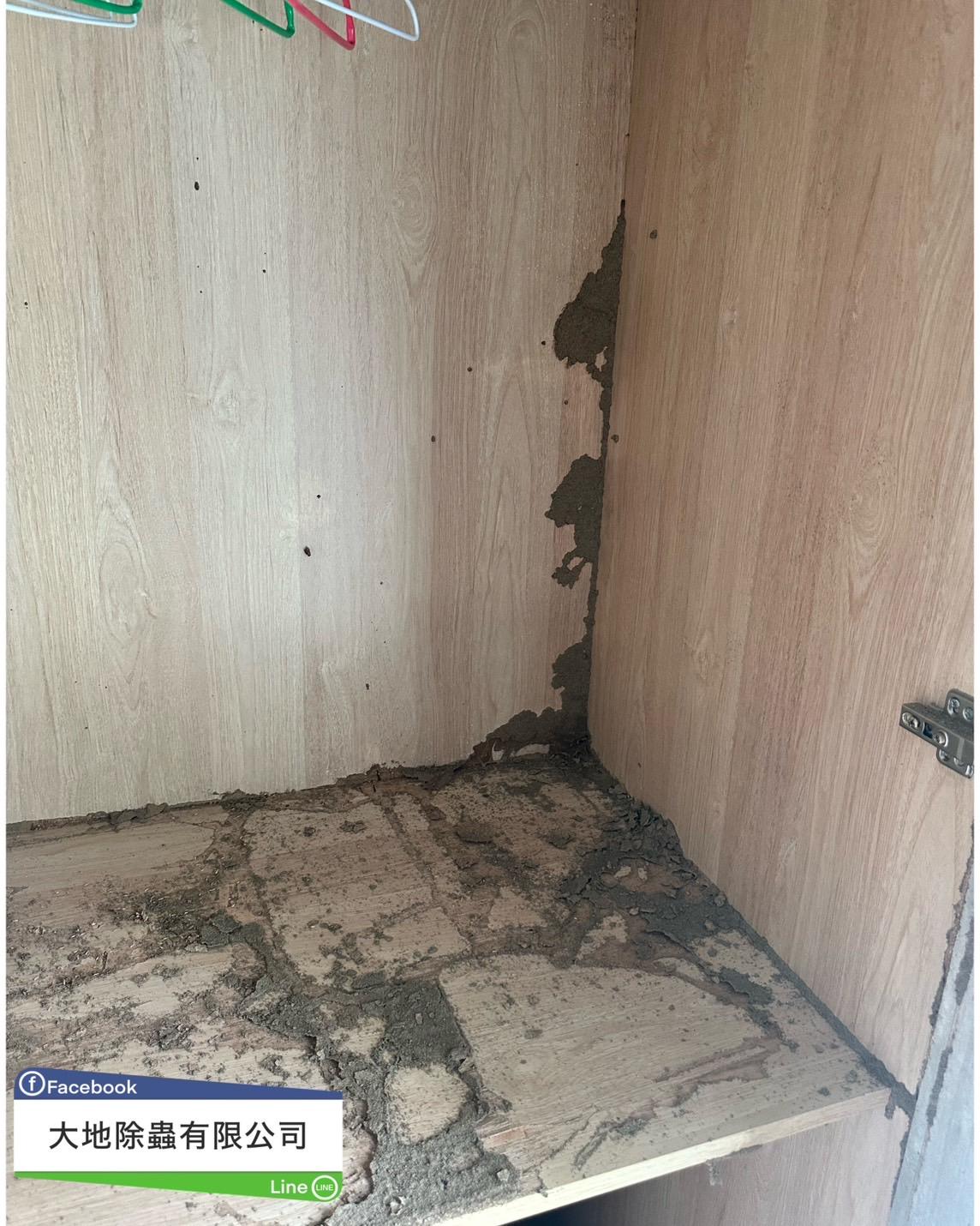 白蟻防治－除白蟻｜衣櫥白蟻