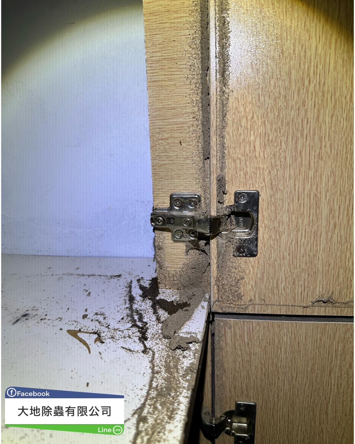 白蟻防治－除白蟻｜裝潢木櫃白蟻