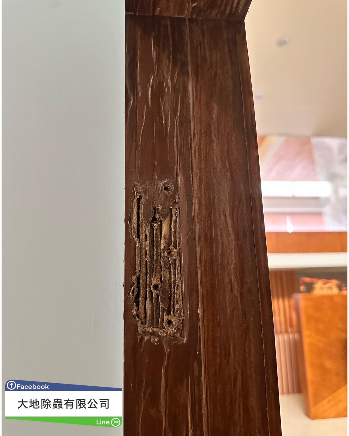 白蟻防治－除白蟻｜門框白蟻