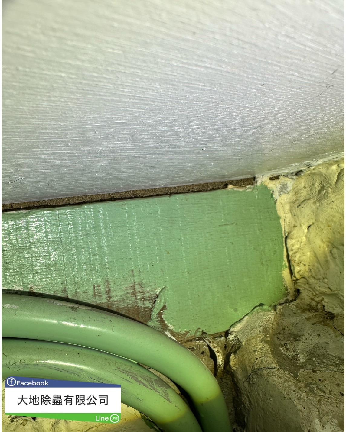 白蟻防治－除白蟻｜老宅屋頂木樑白蟻