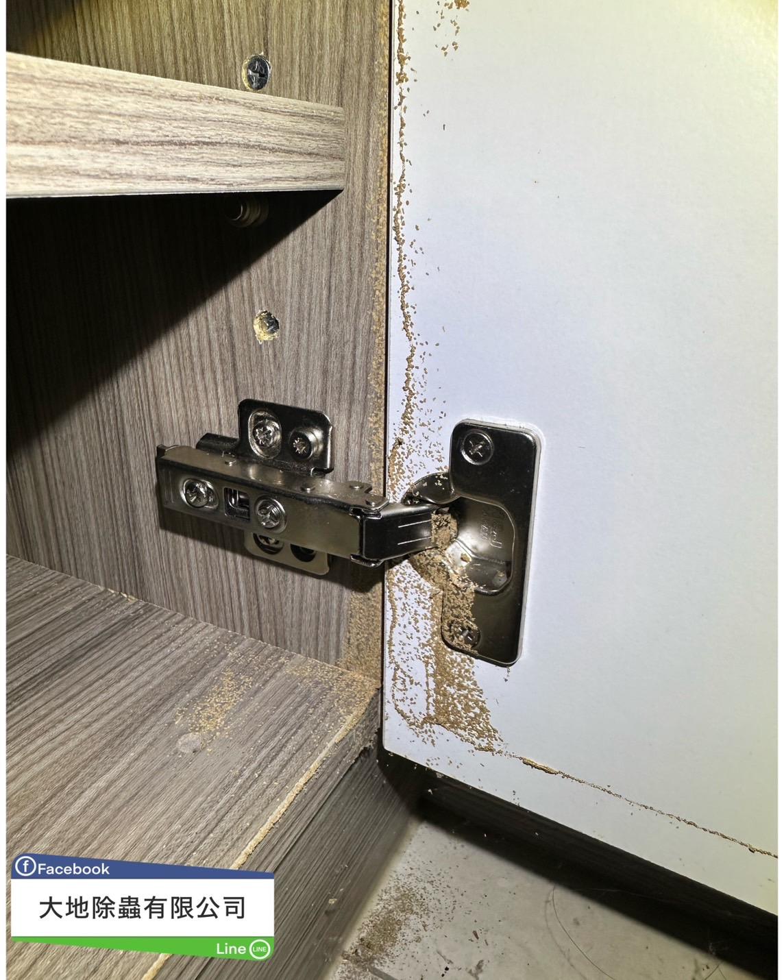 白蟻防治－除白蟻｜透天全域白蟻防治