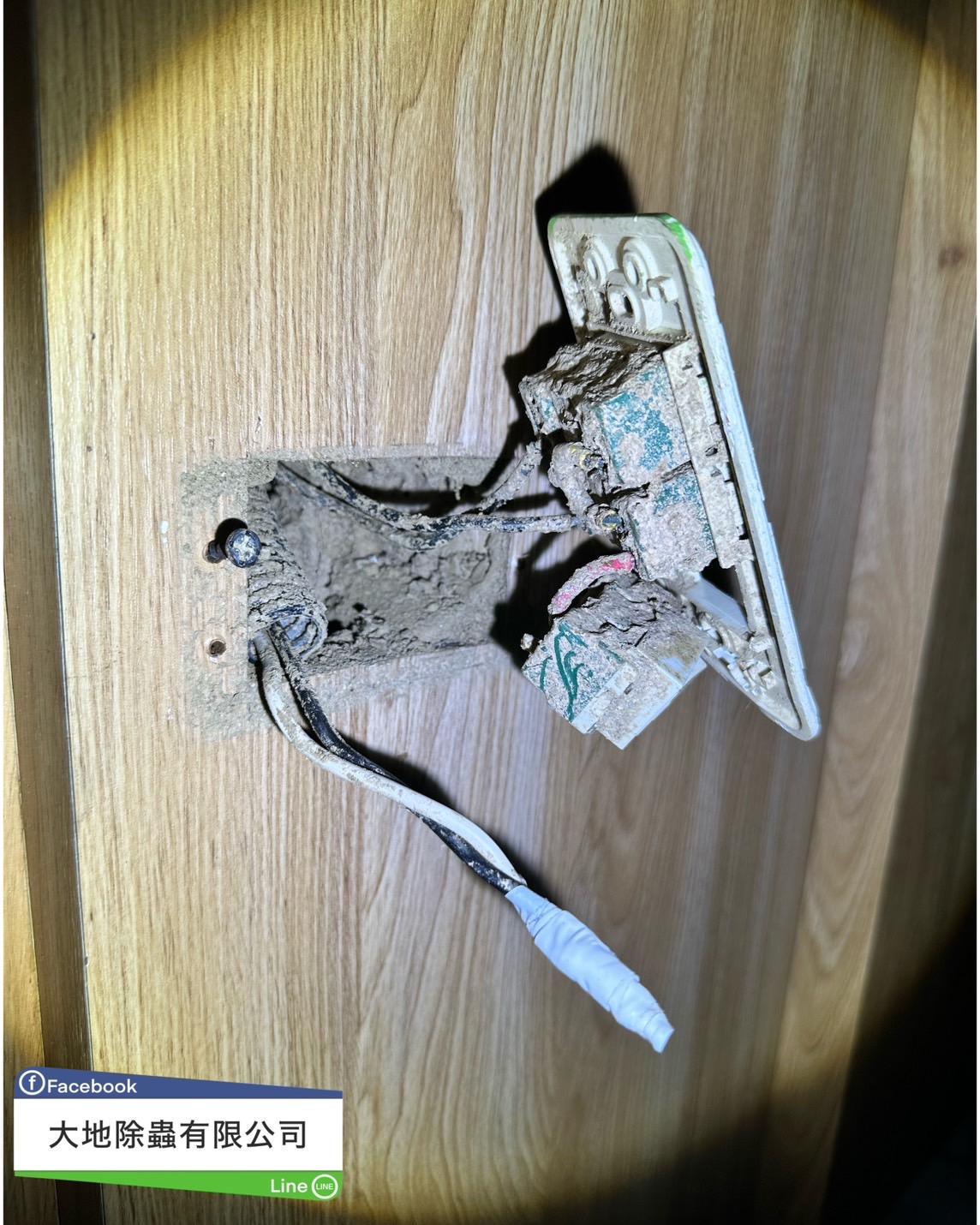 白蟻防治－除白蟻｜電視櫃白蟻