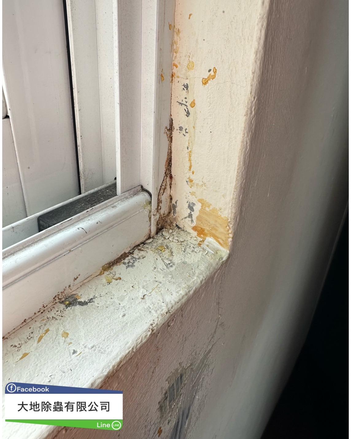 白蟻防治－除白蟻｜窗框縫白蟻
