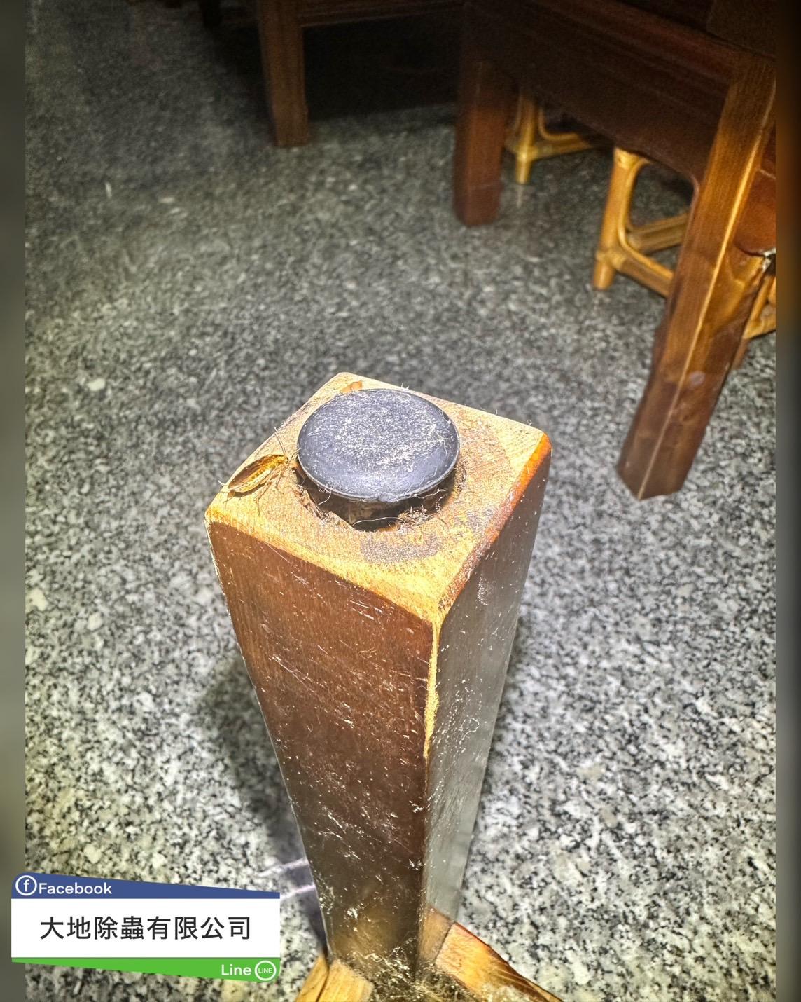 除蟑螂－蟑螂防治｜居家除蟑