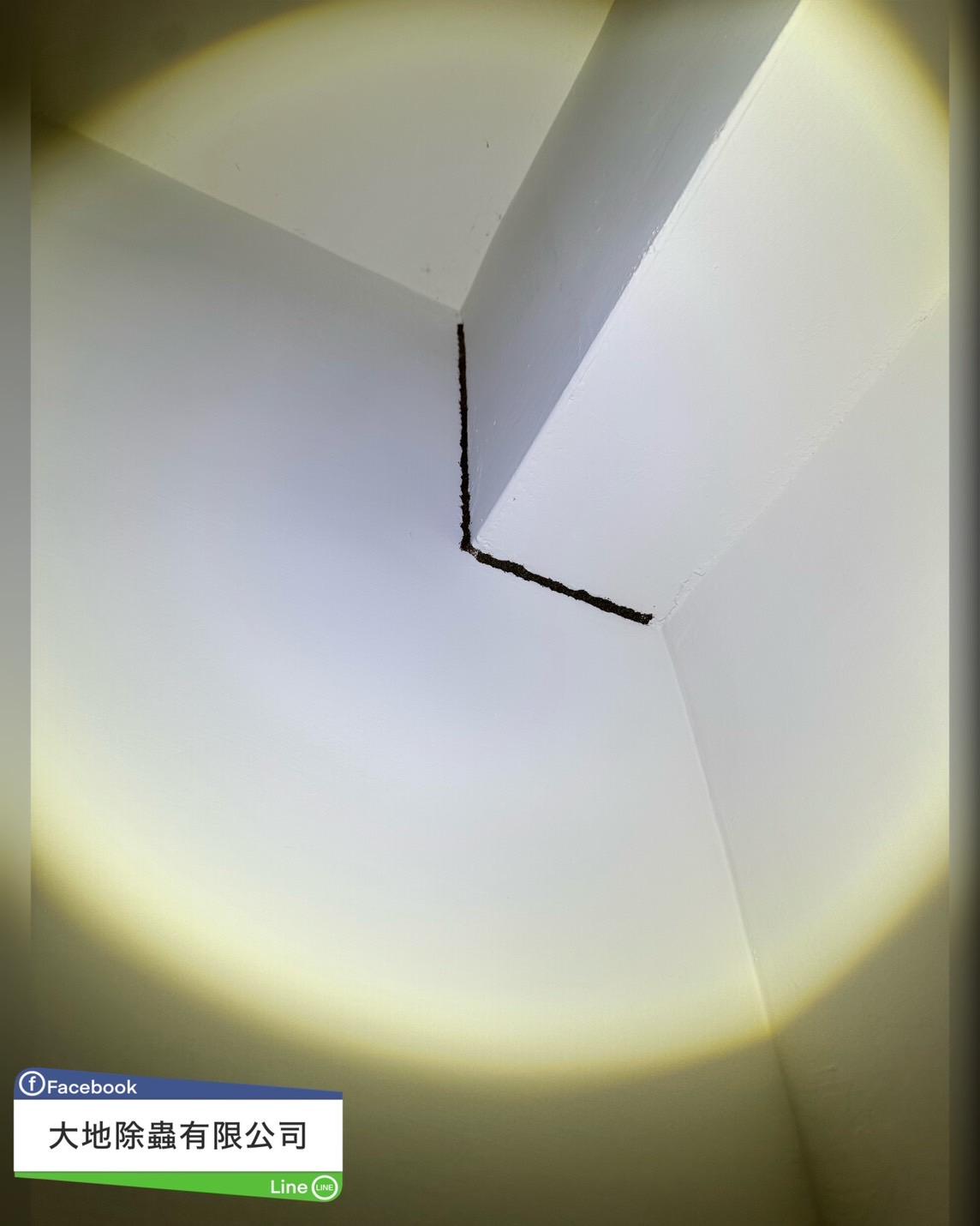 白蟻防治－除白蟻｜門框白蟻