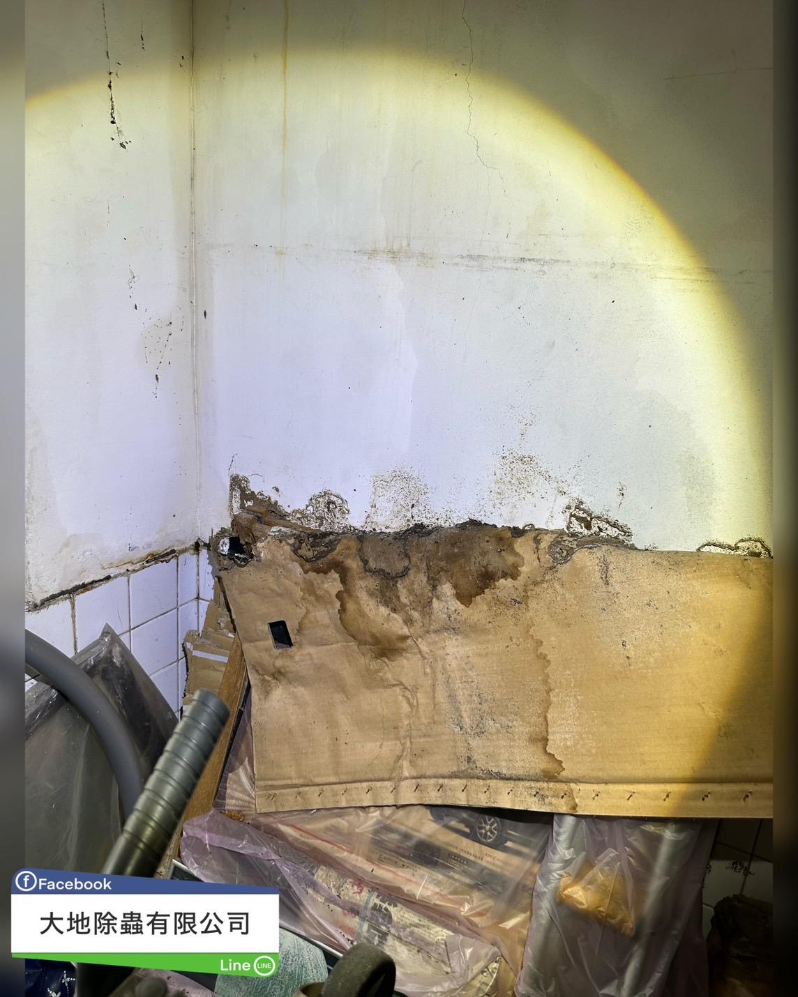 白蟻防治－除白蟻｜倉庫白蟻