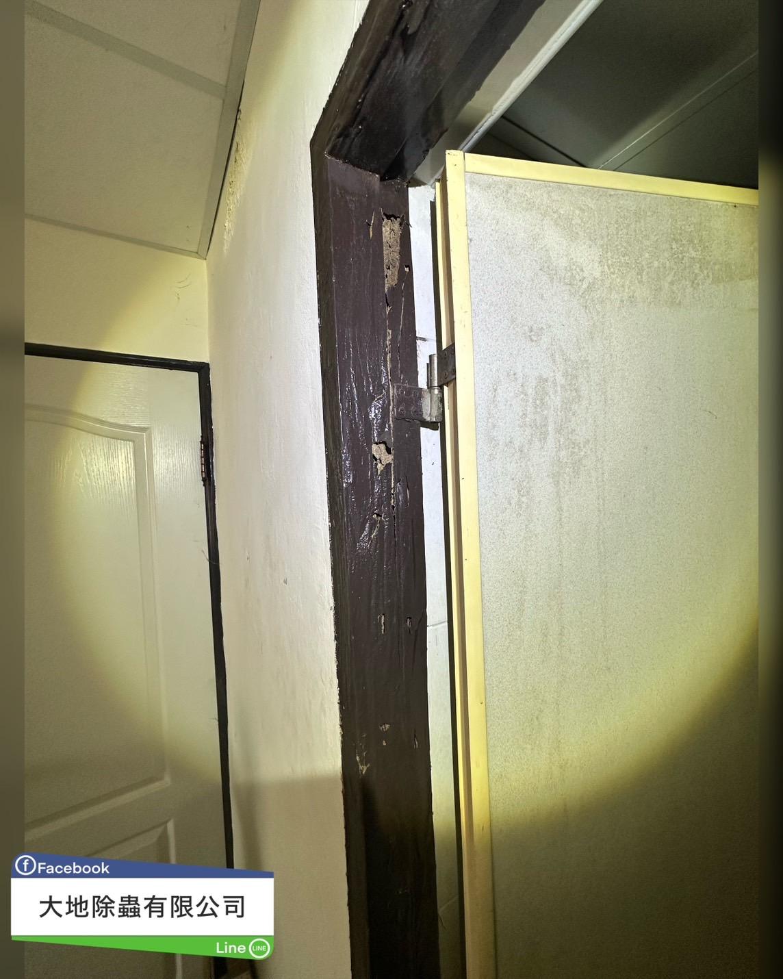 白蟻防治－除白蟻｜門框及石膏板白蟻