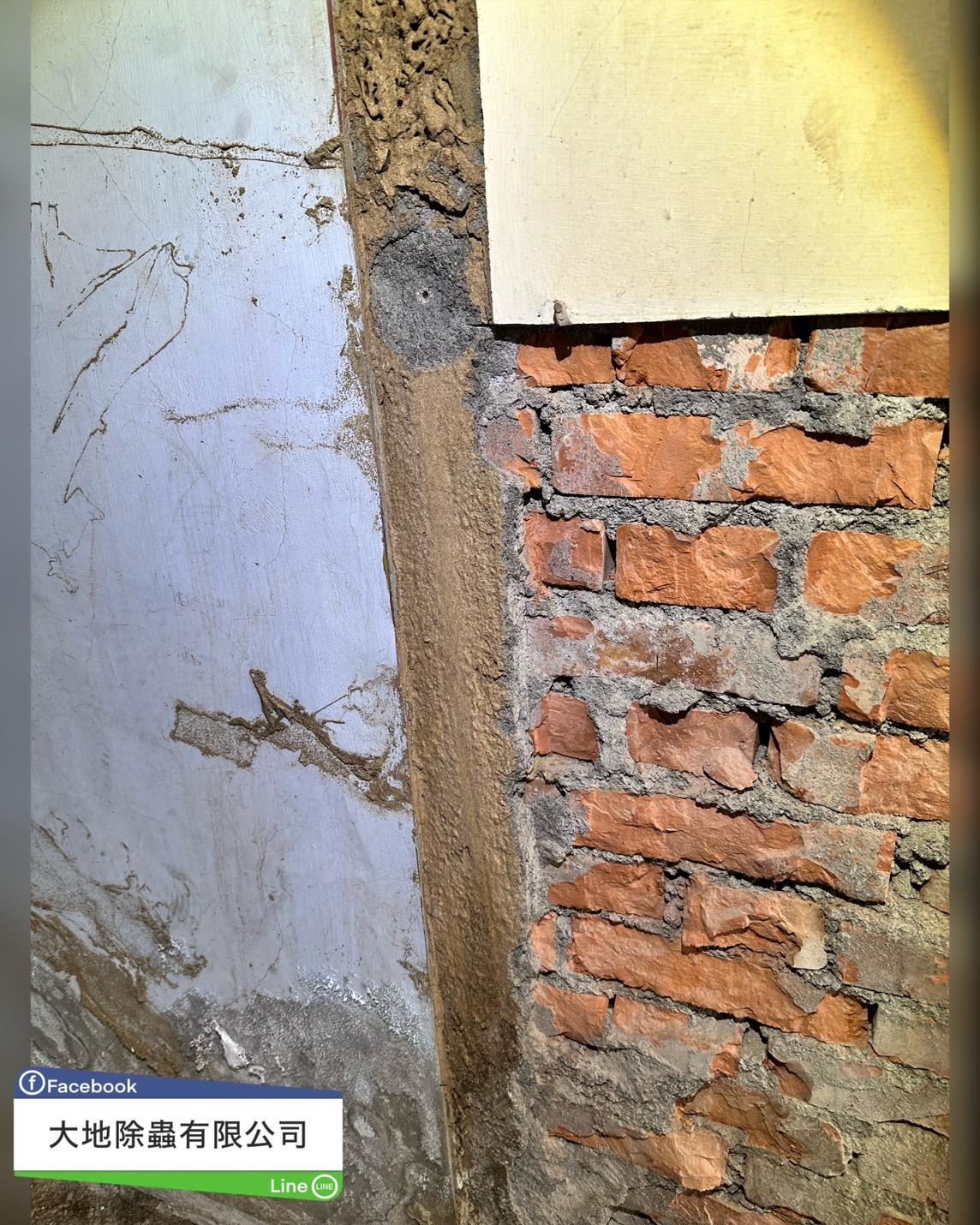 白蟻防治－除白蟻｜房屋修繕除白蟻