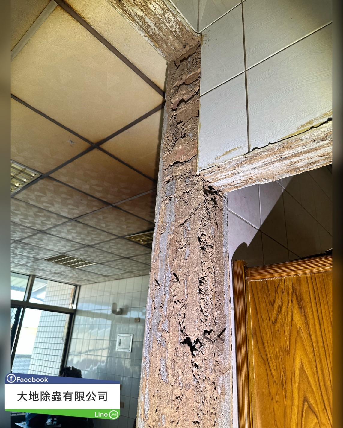 白蟻防治－除白蟻｜透天門框白蟻
