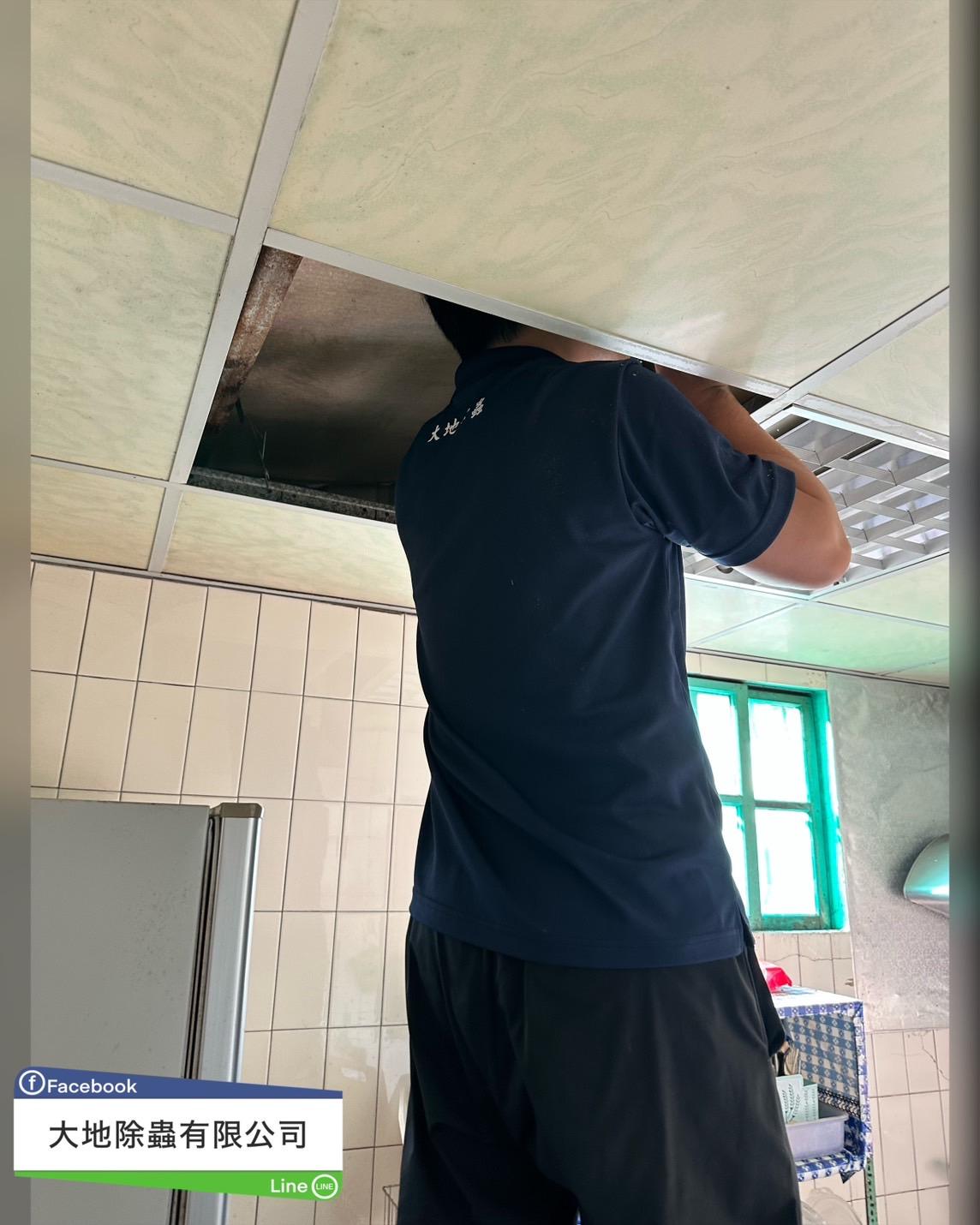 白蟻防治－除白蟻｜老宅平房預防白蟻