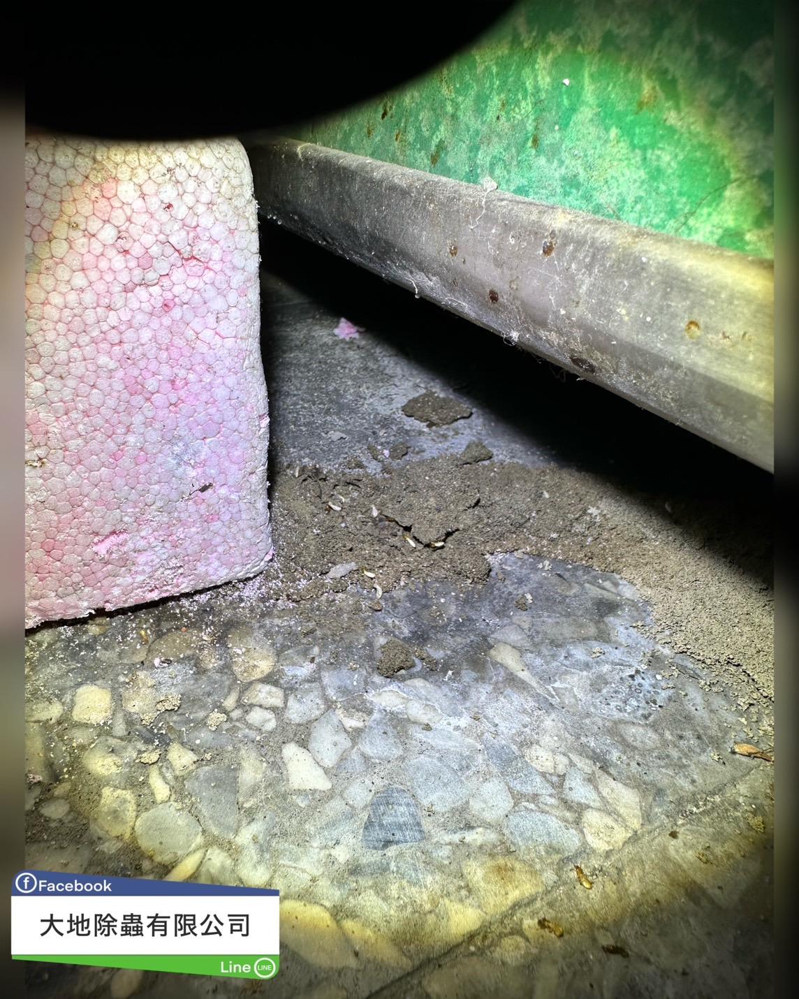 白蟻防治－除白蟻｜透天厝白蟻裂縫入侵