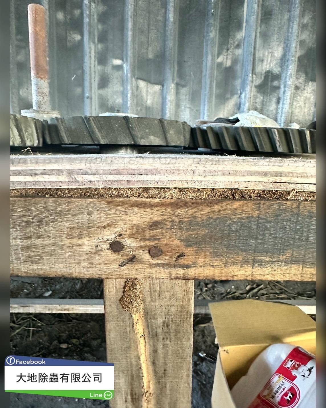 白蟻防治－除白蟻｜工廠木桌椅遭白蟻侵蝕
