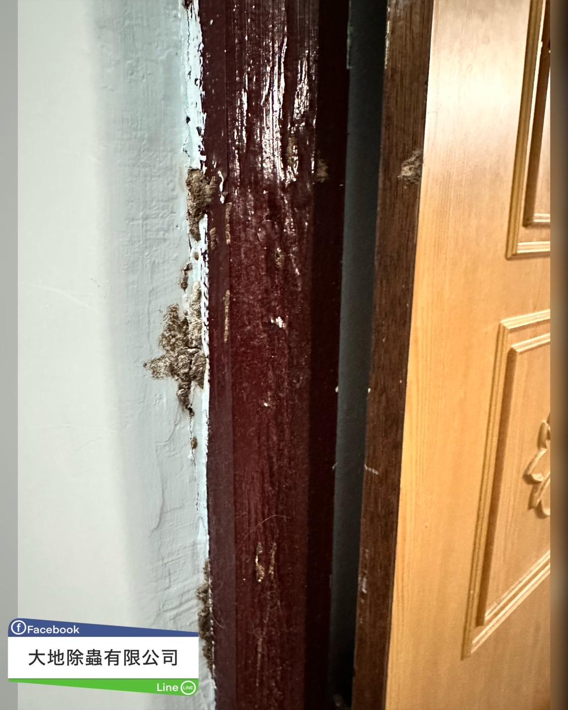 白蟻防治－除白蟻｜門框只剩皮