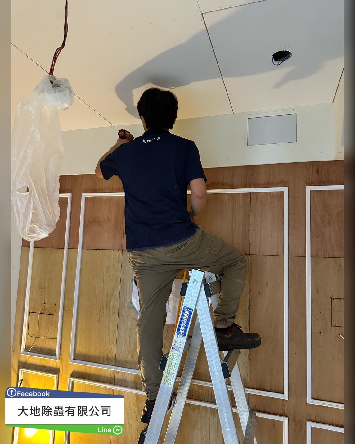 白蟻防治－除白蟻｜裝潢中白蟻防治