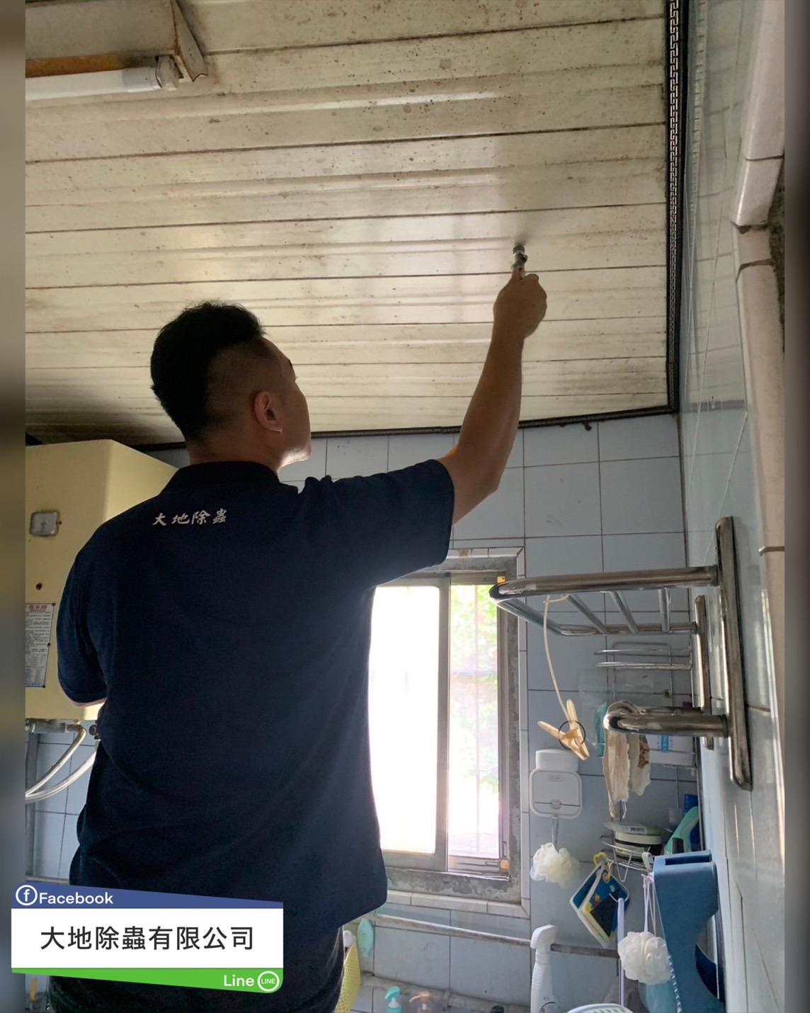 白蟻防治－除白蟻｜廁所天花板長白蟻