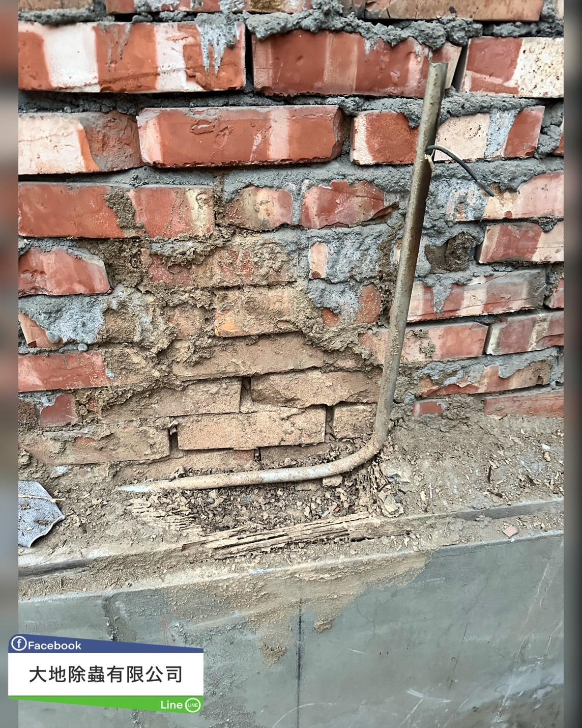 白蟻防治－除白蟻｜工廠外牆長白蟻