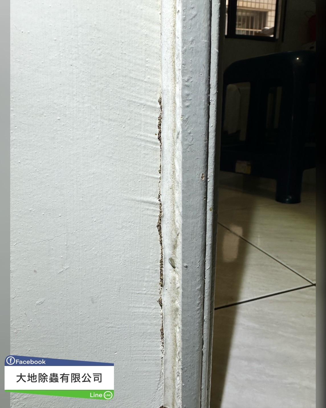 白蟻防治－除白蟻｜門框白蟻土