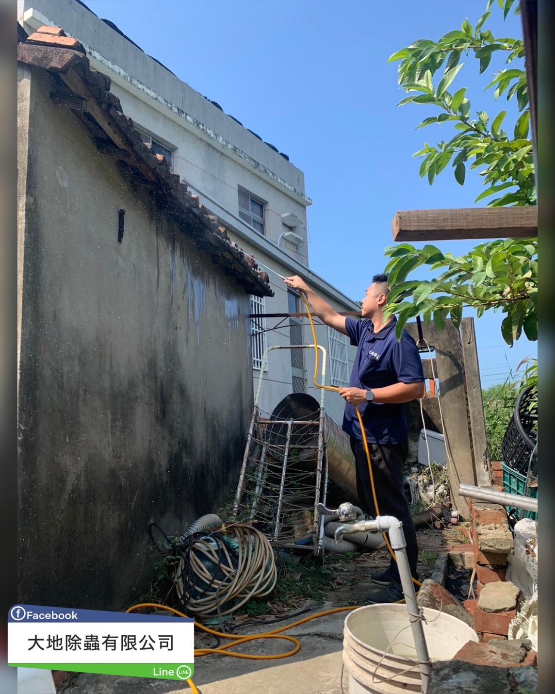 白蟻防治－除白蟻｜老宅木樑除白蟻