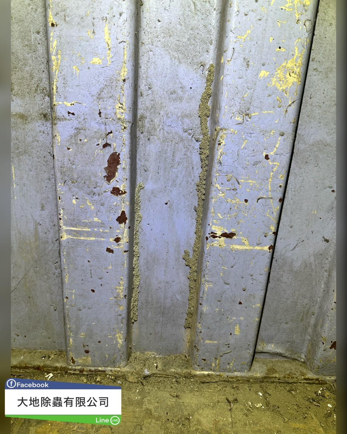 白蟻防治－除白蟻｜貨櫃內木地板除白蟻