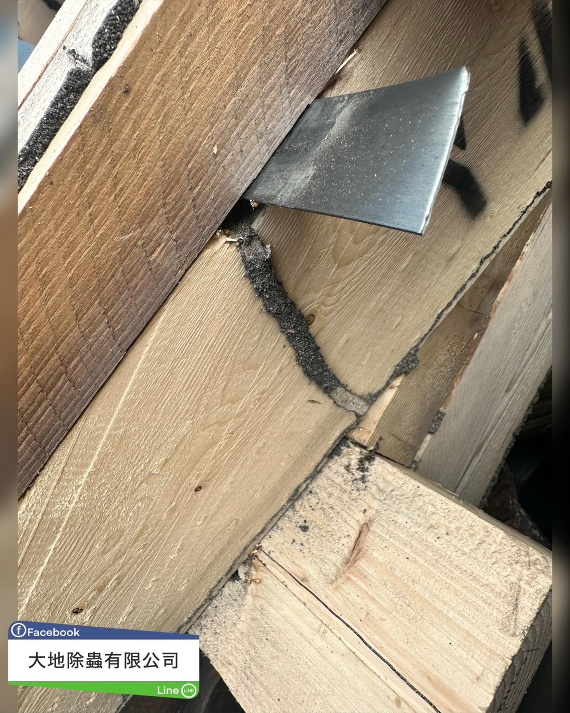 白蟻防治－除白蟻｜鐵工廠木角材白蟻