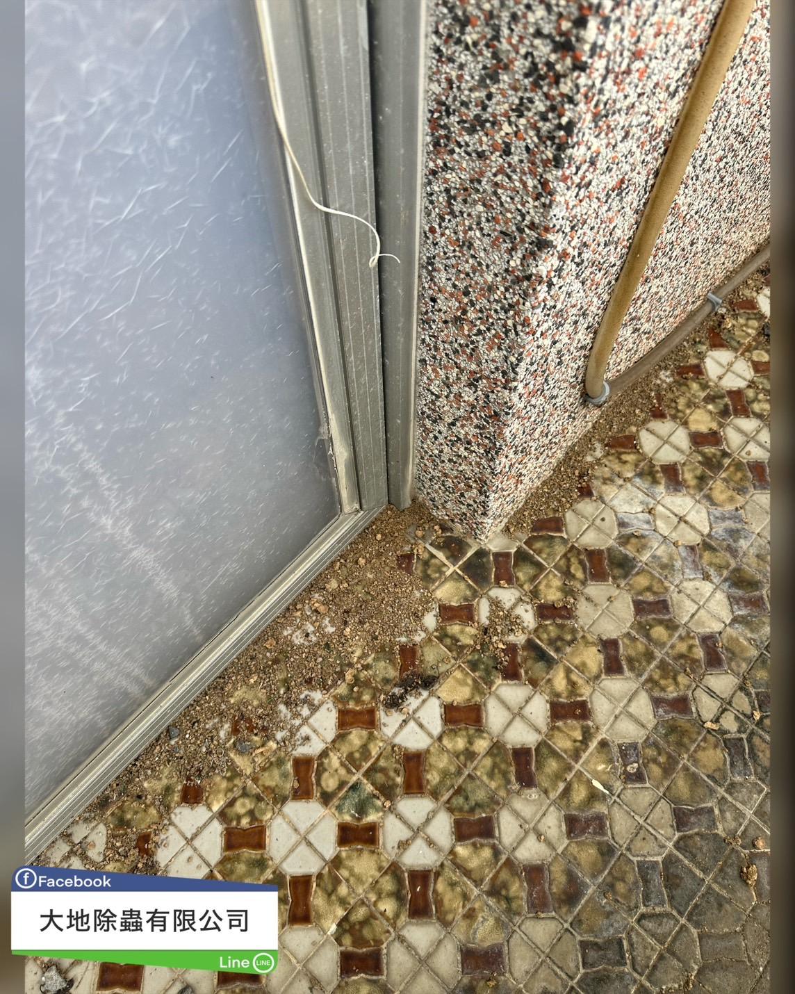 白蟻防治－除白蟻｜門框及窗框長白蟻