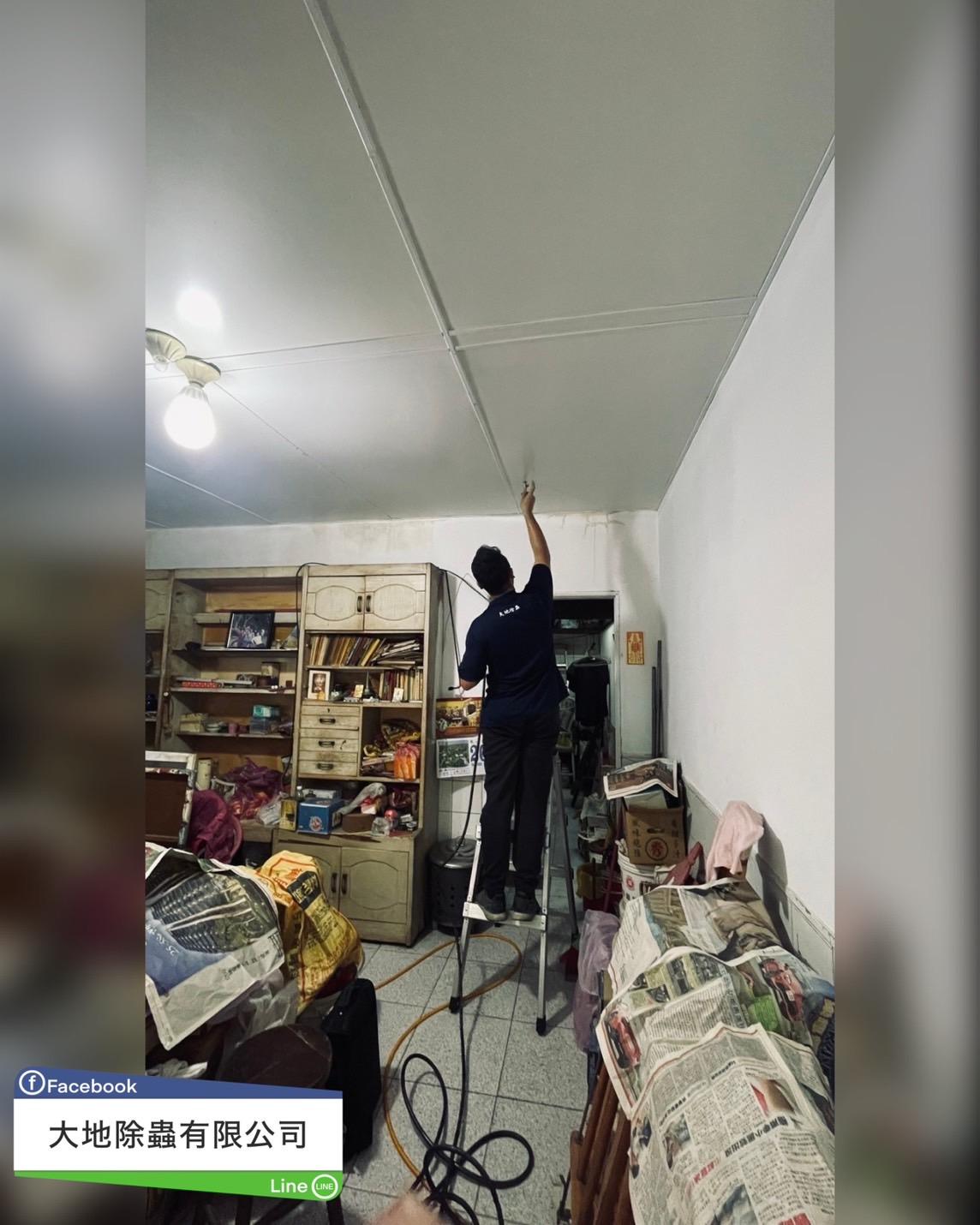 白蟻防治－除白蟻｜老宅防治白蟻