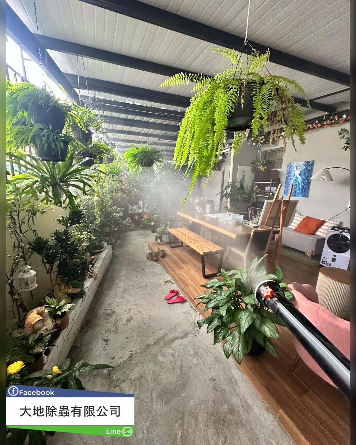 環境消毒－除蚊蟲｜庭院消毒