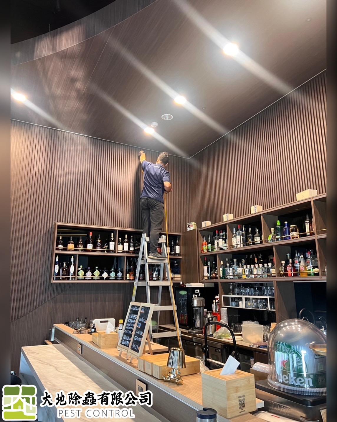 白蟻防治－除白蟻｜餐酒館除白蟻