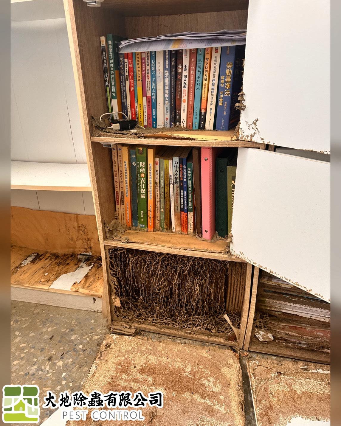 白蟻防治－除白蟻｜書櫃白蟻