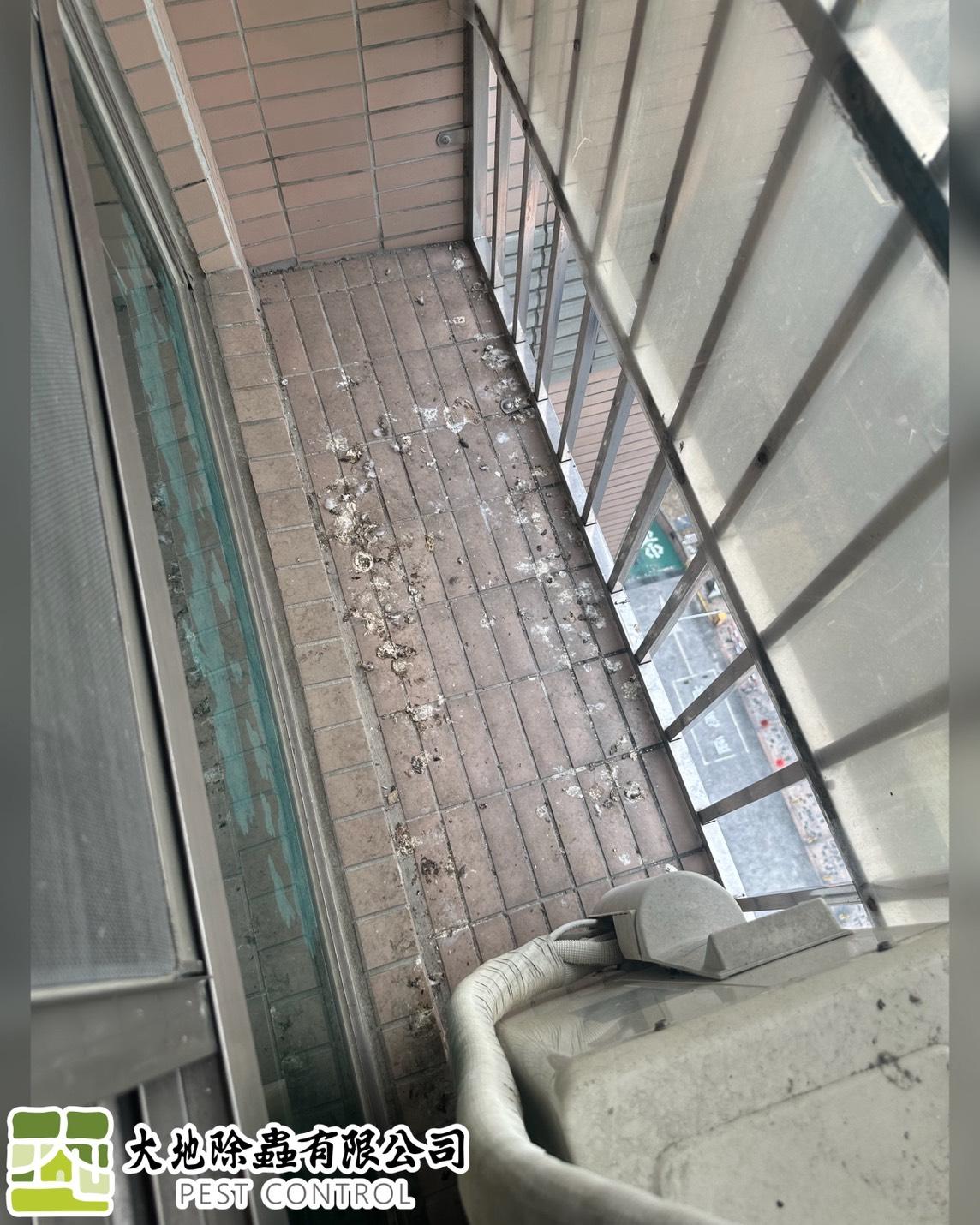 環境消毒-除禽螨|除鳥蝨室內消毒