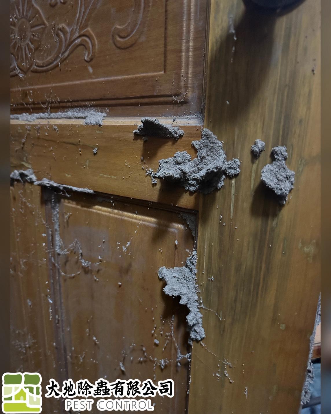 白蟻防治－除白蟻｜隔間白蟻