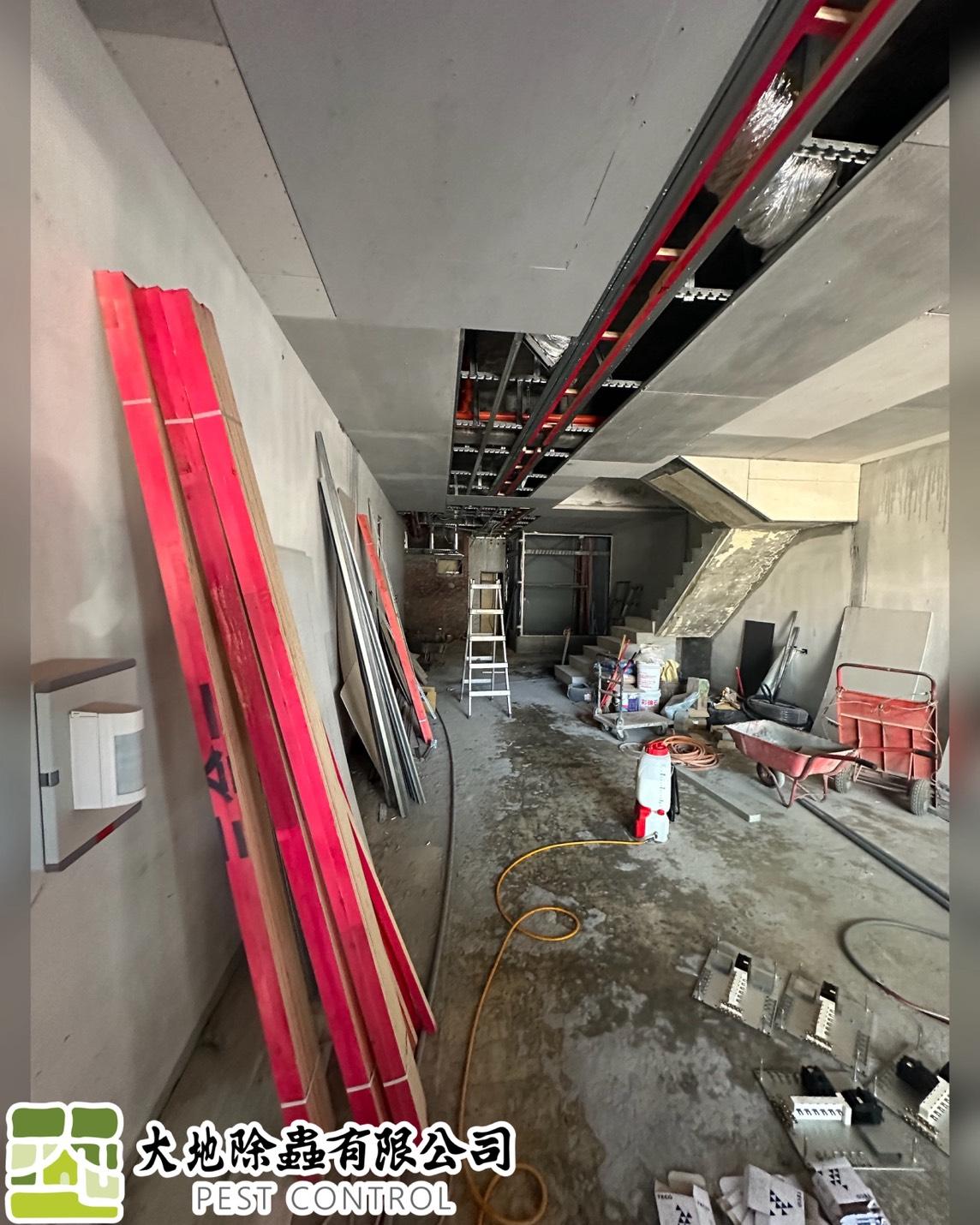 白蟻防治－除白蟻｜新屋裝潢預防白蟻