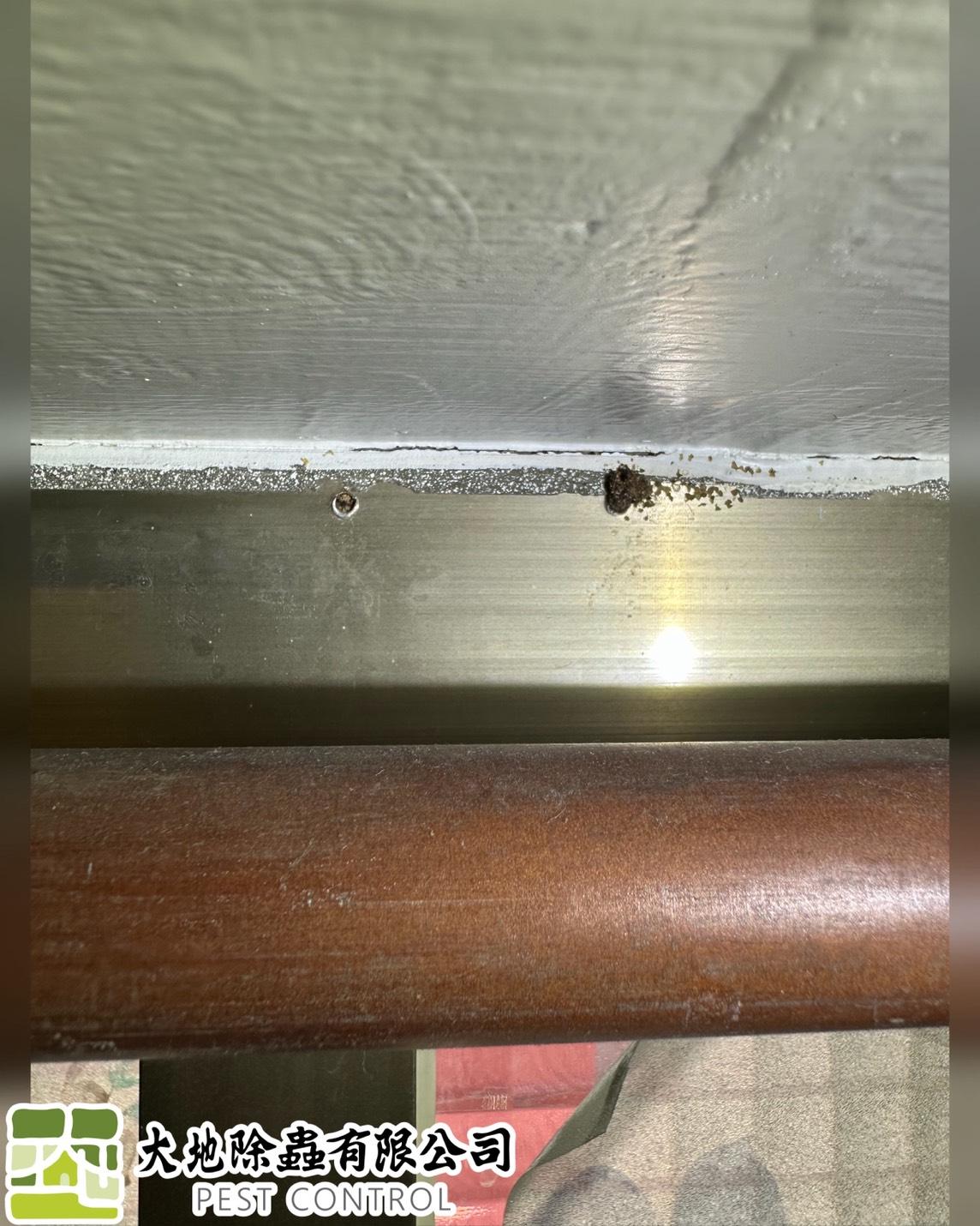 白蟻防治－除白蟻｜窗框白蟻