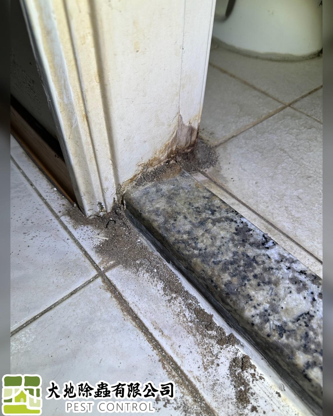 白蟻防治－除白蟻｜浴室及房間木地板