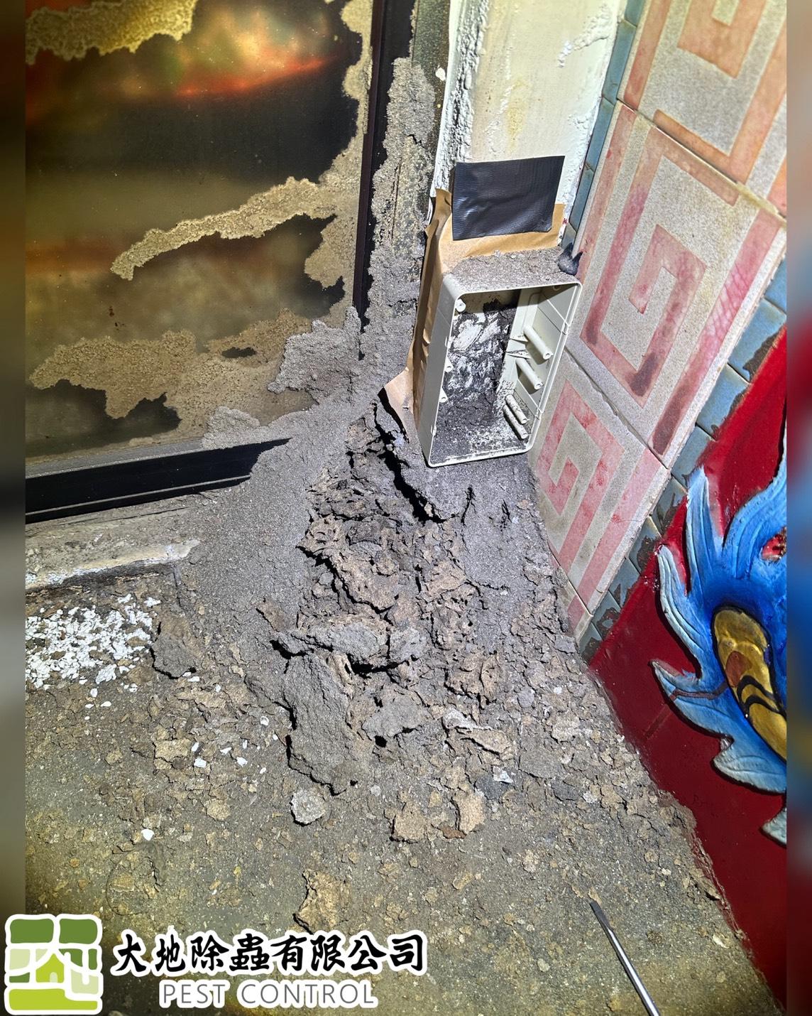 白蟻防治－除白蟻｜廟宇除白蟻