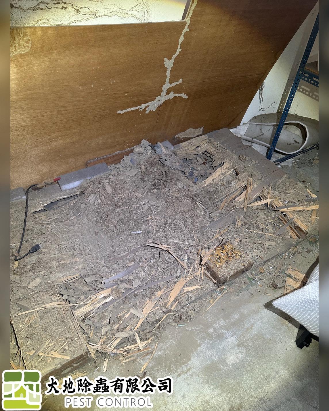 白蟻防治－除白蟻｜倉庫除白蟻