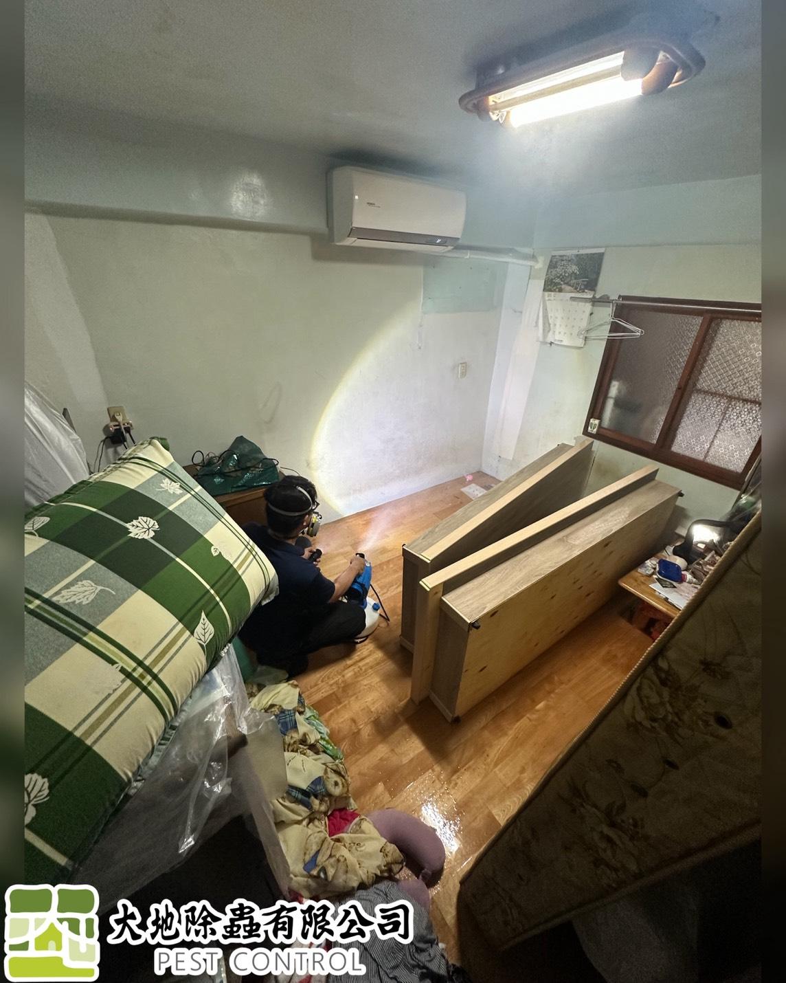 除床蝨－除臭蟲｜全室消毒