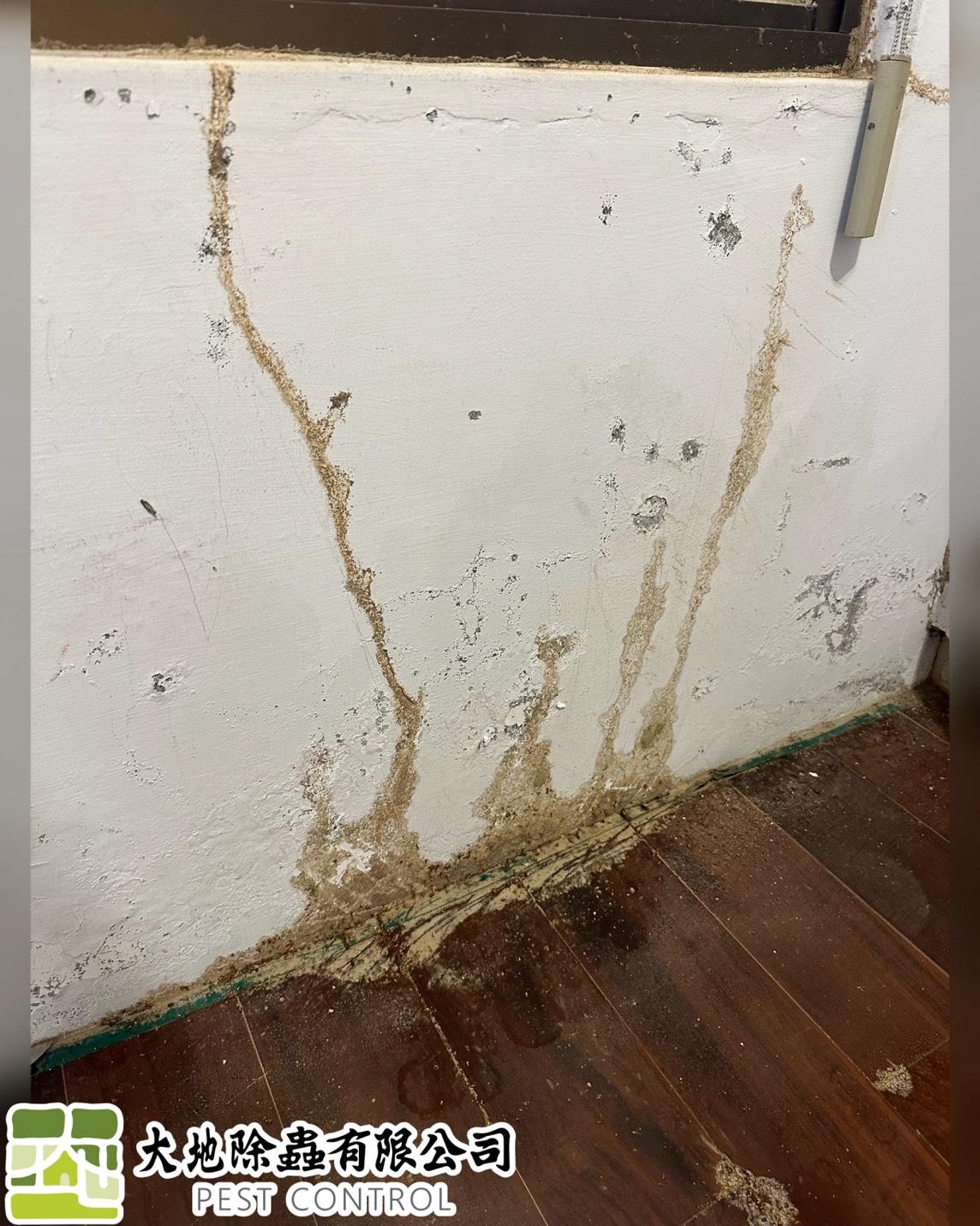 白蟻防治－除白蟻｜和室