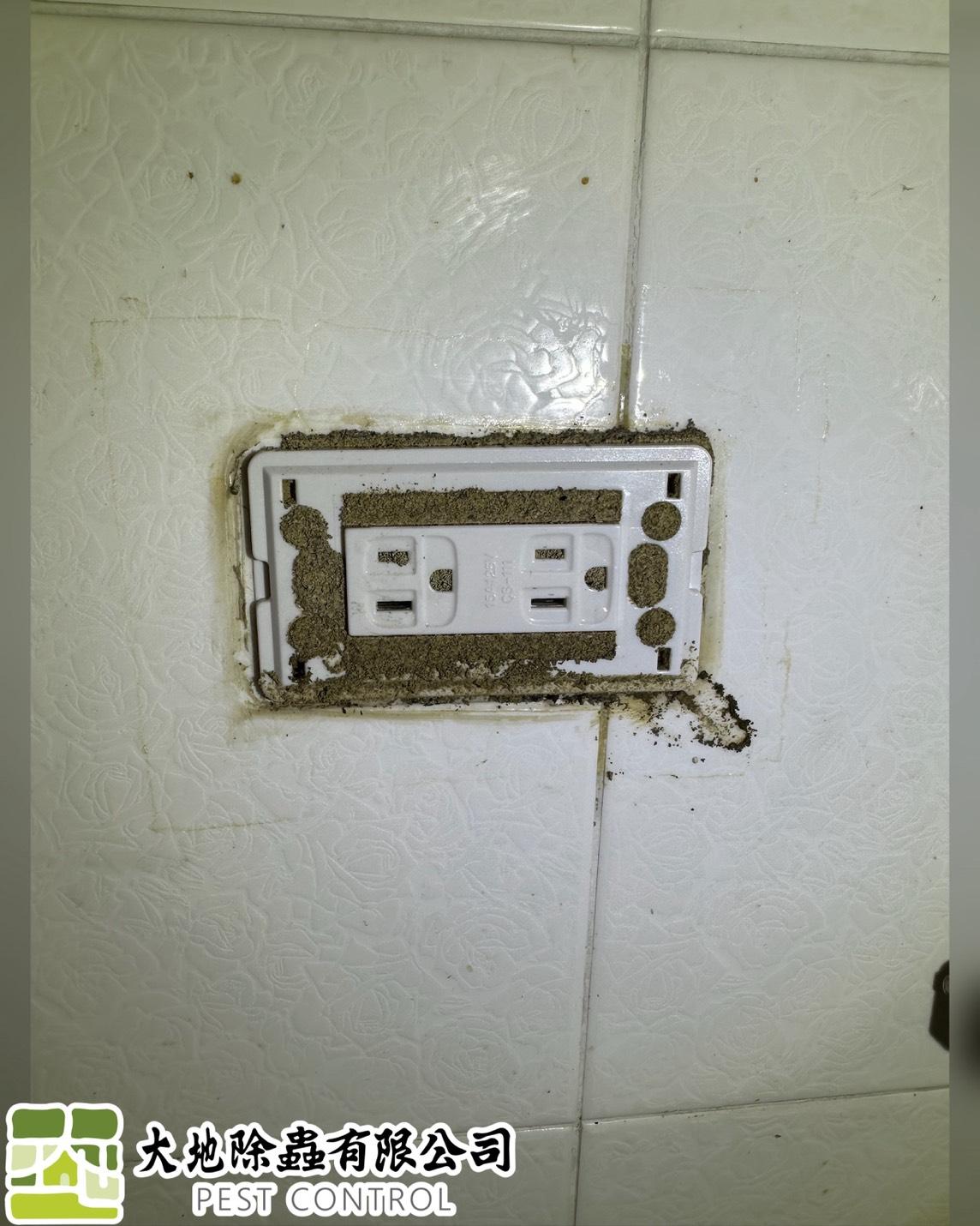 白蟻防治－除白蟻｜廚房磁磚