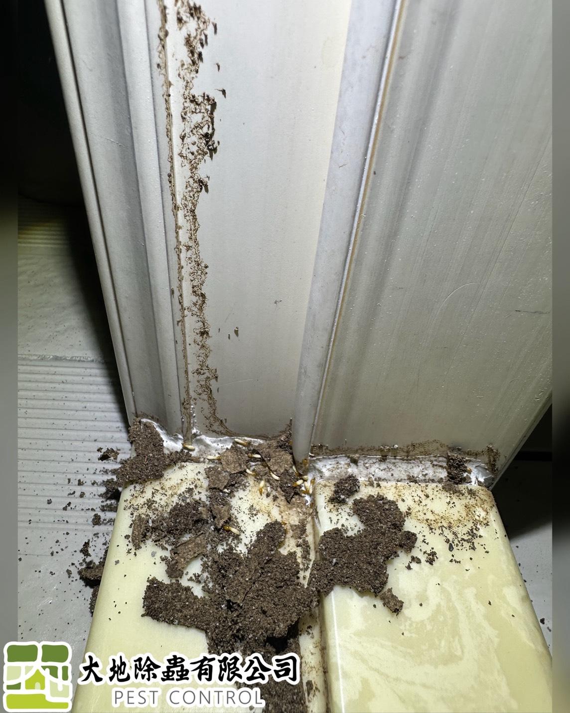 白蟻防治－除白蟻｜門框