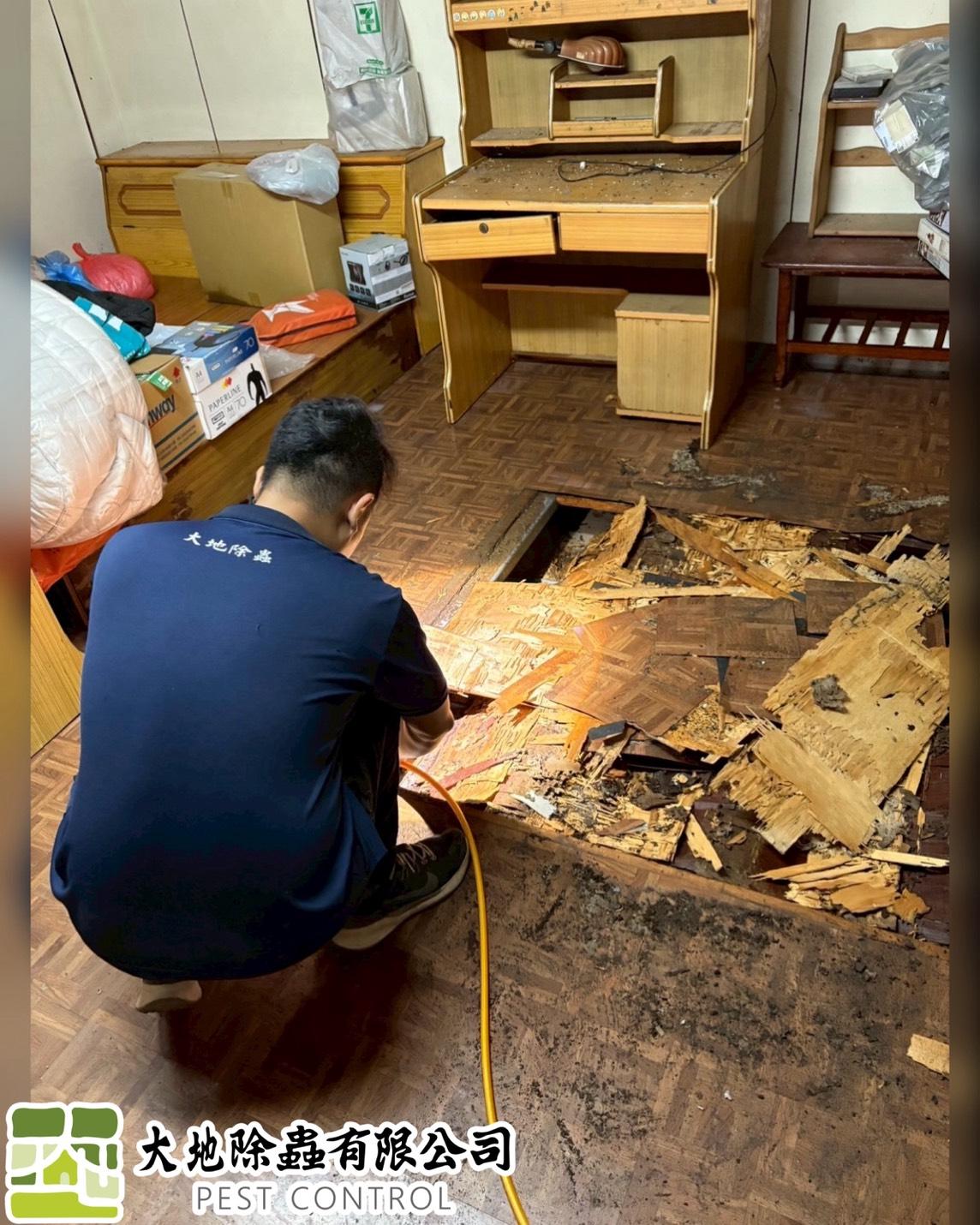 白蟻防治－除白蟻｜室內全域預防白蟻