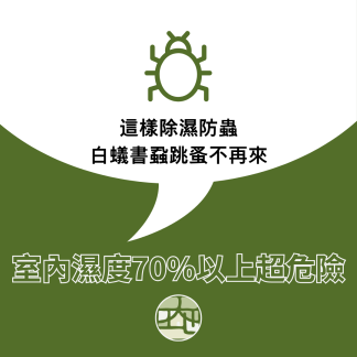 室內濕度70%以上超危險！這樣除濕防蟲，白蟻書蝨跳蚤不再來
