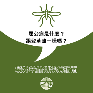 屈公病是什麼？和登革熱有什麼區別？防治境外蚊蟲疾病看這篇