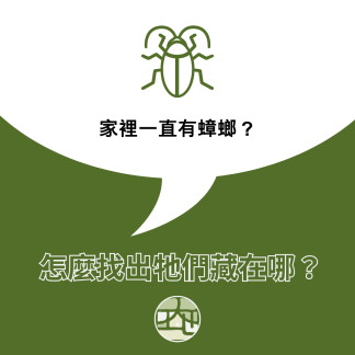 家裡一直有蟑螂，怎麼找出牠們藏在哪？